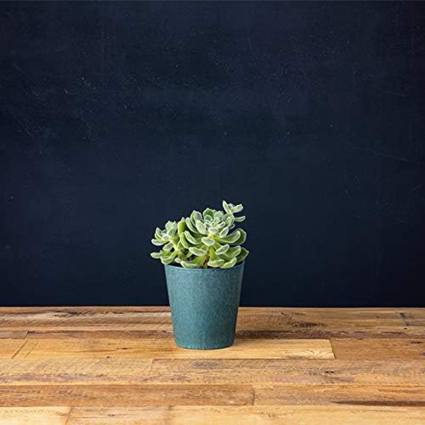 Blue Artstone Josh Saphire plant pots 7x7cm - Image 4